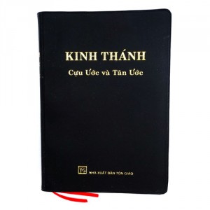 New Vietnamese Bible